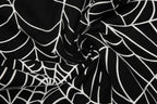 Sp5der Hoodie Suit